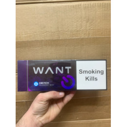 Want Switch QS Blueberry mint (черника)